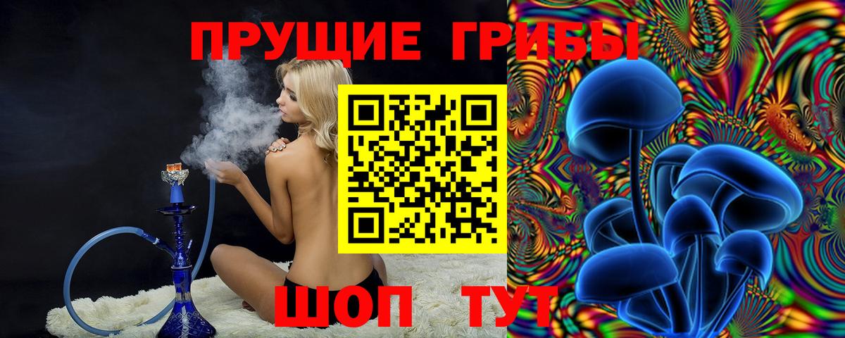 Галлюциногенные грибы Psilocybine cubensis  где купить наркотик  Пятигорск  Галлюциногенные грибы Magic Shrooms  Вход с VPN 